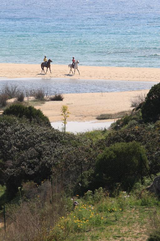 Case Sul Mare Residenze Di Bes Chia Exteriér fotografie